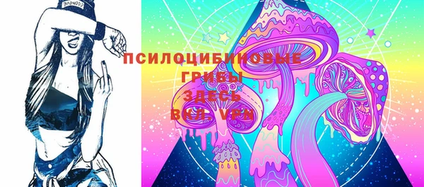 хмурый Приозерск