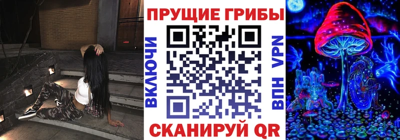 Псилоцибиновые грибы GOLDEN TEACHER  Купить где  Ряжск 